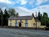 The Monkey Puzzle Hotels in County Wexford