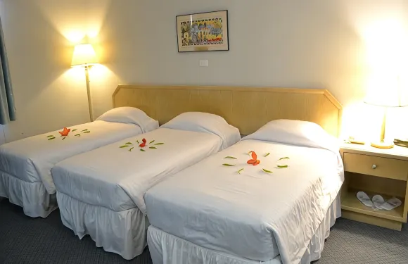 德賽克爾西廣場酒店