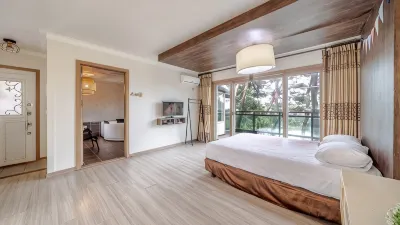 Cheongju la Quinta Pension Hotels in 