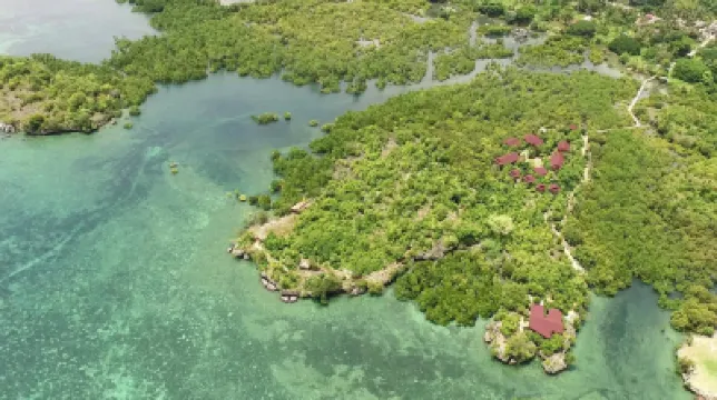 Eskapo Verde Moalboal Hoteles cerca de Badian Island