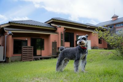 施設外観 レゾネイトクラブくじゅうの写真