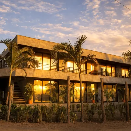 Palomino Sunrise