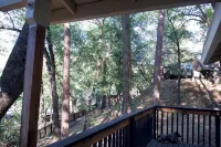 Yosemite Bug Rustic Mountain Resort - Mountain view