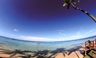 a beach scene with palm trees and the ocean , taken from a low angle perspective at Fiji Hideaway Resort and Spa