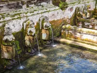 Ubud Wana Resort Hotels near ARMA Museum