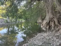 Peaceful & Private Riverfront Modern 3/3 on a 1.7 Acre Nature Peaceful & Private - 부티크