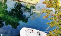 Bigfoot Bungalow -Enjoy being directly on the clear waters of Weeki Wachee River