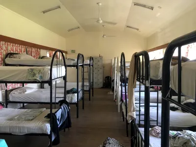 Bamboo Backpackers Hotels in 