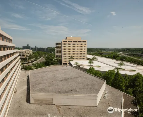 Hilton McLean Tysons Corner