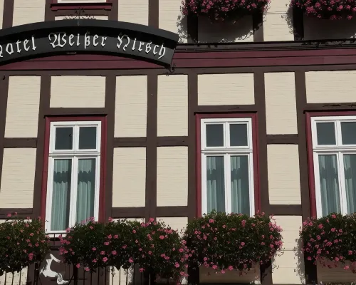 Ringhotel Weißer Hirsch Hotels in Wernigerode