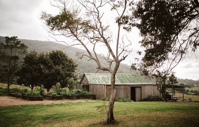 Blue Hills Luxury Farm Stay