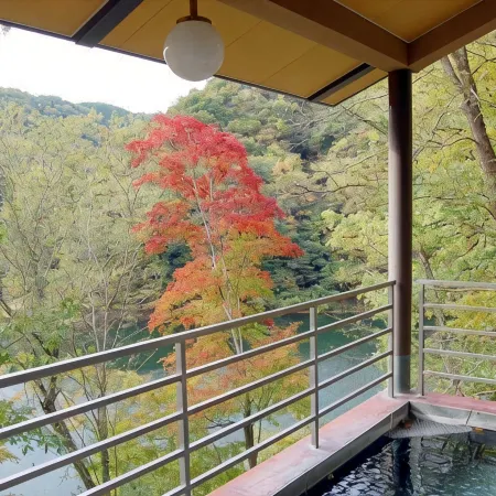 Taishakukyou Kanko Hotel Kinsaikan