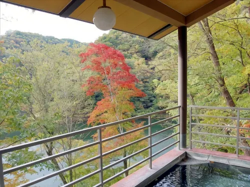 Taishakukyou Kanko Hotel Kinsaikan - Homestays
