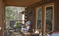 Forest Therapy - Exactly What You're Looking For! - Gym