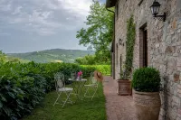 Villa Rosaspina from 1700's. Private pool, Air-conditioning, Jacuzzi, DSL/Wi-Fi