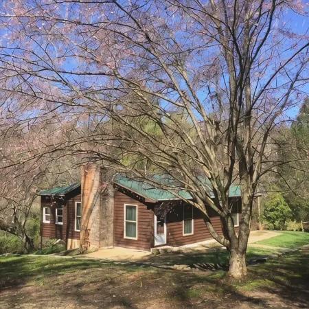 Riverfront cabin on Chauga River "Boarhogs  Place"