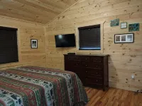 New Listing! Mountain Cabin Getaway with a Fire Pit, High Speed Internet, Dog OK