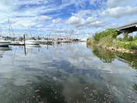 Coastal Getaway near Pensacola beach, Downtown & NAS + walk to bayou & marinas Hotels in Warrington