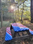 Peaceful and Private Cabin with fun activities for family & friends on 25 Acres - 3-Star