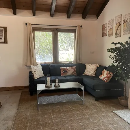 Moon River Cottage • Loft • River Access • Fireplace • Peaceful • Near Sequoia