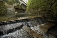 The Ravine by One Selah