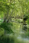 Charming apartment in the historic center of Uzès with air condition and parking