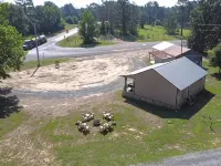 Cozy Cabin central to Jefferson, Atlanta, Caddo Lake, Marshall & Linden Hotels in Cass County