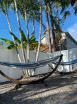 Short Walk to Quaint Small Town Palm Harbor, Restaurants, Brewery, Trolley Stop