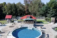 ClubDivot - A Modern Farm Style  Home with Pool and Backyard Bar - Pools