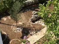 Apartment Zeljka - Homestays