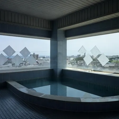 Hitachi Hotel Crane