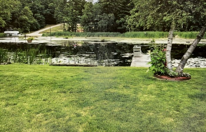 Croton Cottage on all sports lake!