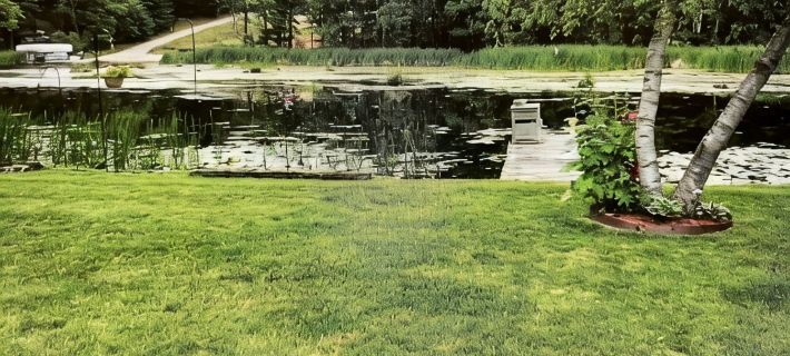 Croton Cottage on all sports lake! Hotels in Newaygo County