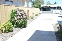 EMotel Napier Hotels in 