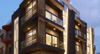 City Lion by Semavί