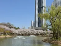 LoungeSeoul