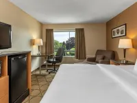 Comfort Inn Hotels in Chicoutimi