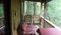 Sanitized! Creekside Cottage sits over Creek  Woods, Looking into Park!  Pets OK