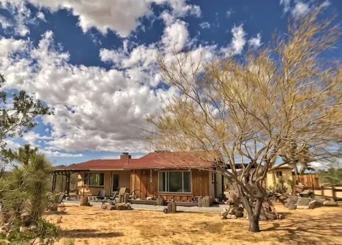 Clever Rabbit: 5-Acre Retreat Joshua Tree National Park with Starlink Internet - بوتيك