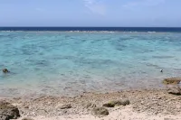 PANORAMA Ocean View Cottage - غرفة مطلة على الجبل