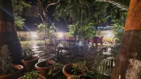 Hostel Lifespace- Twin Bungalow with Pods, Bunks, Private Rooms, CoWork & Cafe - Hostales