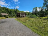Nature lover’s retreat in the forest. Near hiking, skiing, swimming, etc - Homestays