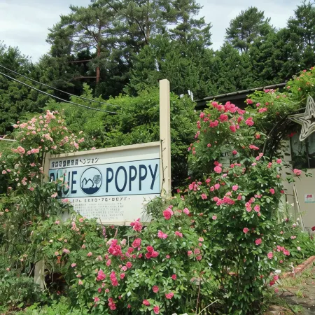 Blue Poppy Lodge Отели рядом с достопримечательностью «Озеро Сайко»