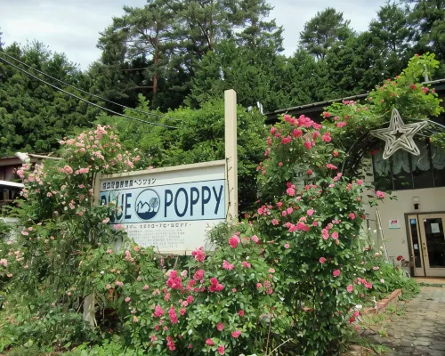 Blue Poppy Lodge Hotels near Lake Saiko