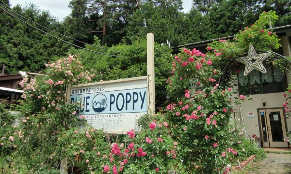 Blue Poppy Lodge