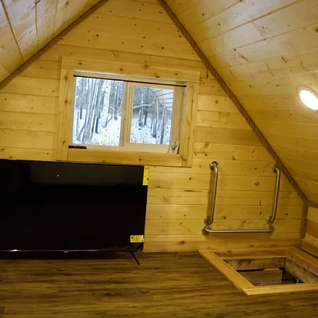 Petite Cabin With Ladder Loft