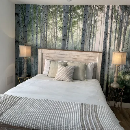 Brand New Townhome in Downtown Westminster
