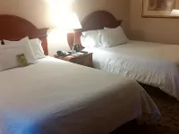 Hilton Garden Inn Toronto/Markham - Gym