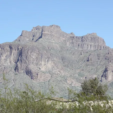 Saguaro Sunset Retreat