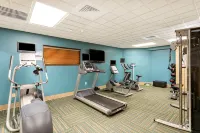Holiday Inn Express & Suites BRADENTON EAST-LAKEWOOD RANCH by IHG - Gym